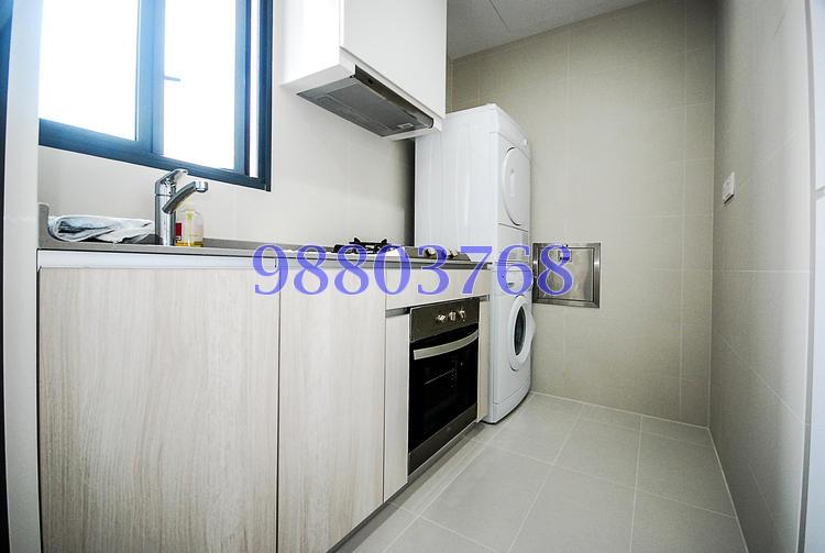 The Luxurie (D19), Condominium #76956312